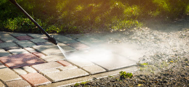 Best Animal Enclosure Cleaning  in Wyboo, SC
